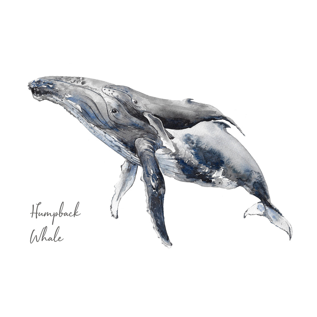Personalised Humpback Whale Watercolour Art Print – view 2