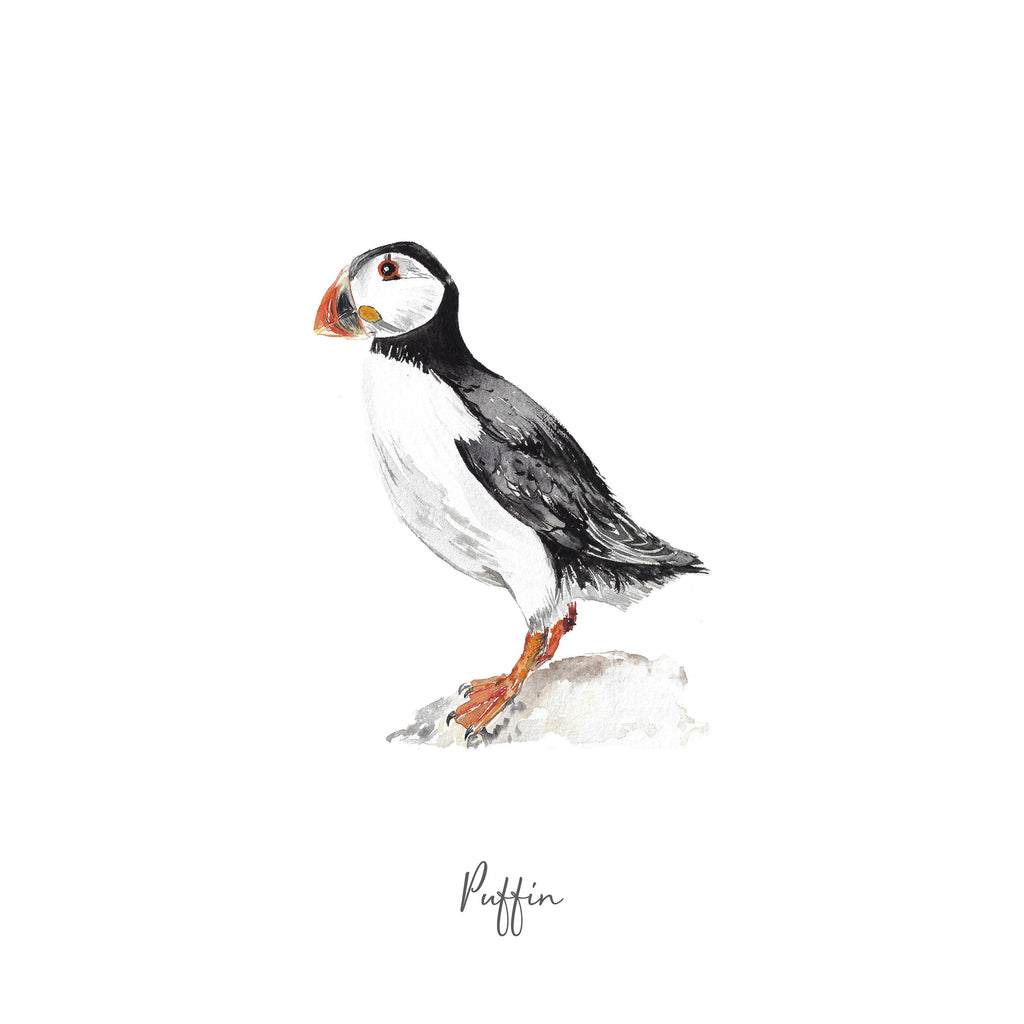 Personalised Puffin Watercolour Art Print – view 2